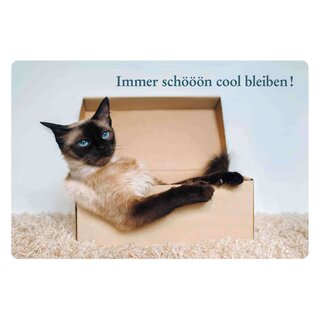 Schild Spruch "Immer schööön cool bleiben" 30 x 20 cm Blechschild