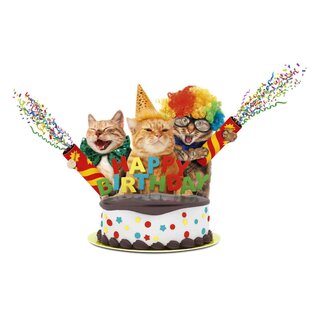 Schild Spruch "Happy Birthday, Katze" 30 x 20 cm Blechschild