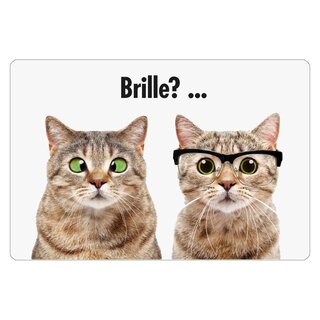 Schild Spruch "Brille? Katze" 30 x 20 cm Blechschild