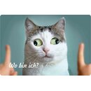 Schild Motiv "Wo bin ich, schielende Katze" 30...