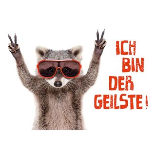 Schild Spruch "Ich bin der Geilste" 30 x 20 cm Blechschild