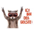 Schild Spruch "Ich bin der Geilste" 30 x 20 cm...