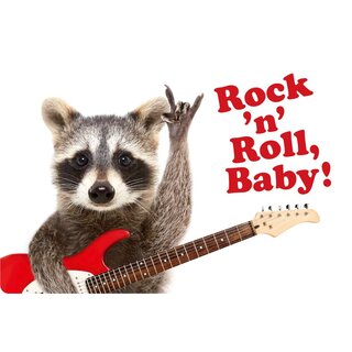 Schild Spruch "Rock n Roll Baby" 30 x 20 cm Blechschild