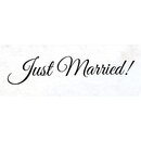 Schild Spruch "Just married!" 27 x 10 cm...