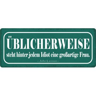 Schild Spruch "Üblicherweise steht hinter jedem Idiot eine großartige Frau" 27 x 10 cm Blechschild