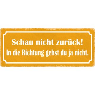 Schild Spruch "Schau nicht zurück" 27 x 10 cm Blechschild