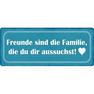 Schild Spruch "Freunde sind Familie die du dir aussuchst" 27 x 10 cm Blechschild
