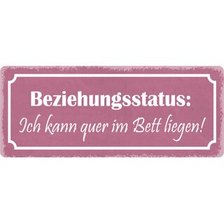 Schild Spruch "Beziehungsstatus: Ich kann quer im Bett liegen" 27 x 10 cm Blechschild