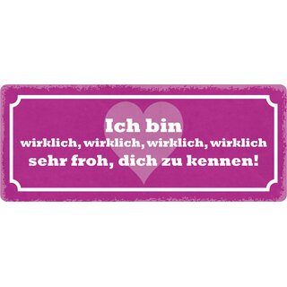 Schild Spruch "Ich bin wirklich froh dich zu kennen" 27 x 10 cm Blechschild