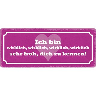 Schild Spruch "Ich bin wirklich froh dich zu kennen" 27 x 10 cm Blechschild