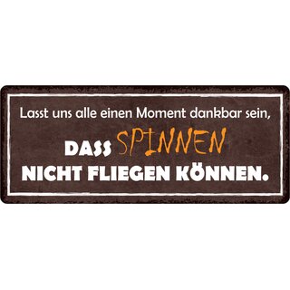 Schild Spruch "Dankbar sein, dass Spinnen nicht fliegen können" 27 x 10 cm Blechschild