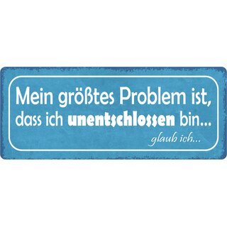 Schild Spruch "Mein größtes Problem ist, dass ich unentschlossen bin" 27 x 10 cm Blechschild