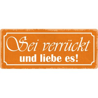 Schild Spruch "Sei verrückt und liebe es" 27 x 10 cm Blechschild