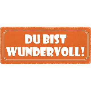 Schild Spruch "Du bist wundervoll" 27 x 10 cm Blechschild