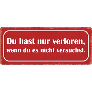 Schild Spruch "Du hast nur verloren, wenn du es nicht versuchst" 27 x 10 cm Blechschild