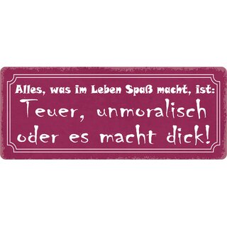 Schild Spruch "Was im Leben Spaß macht" 27 x 10 cm Blechschild