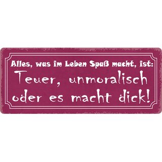 Schild Spruch "Was im Leben Spaß macht" 27 x 10 cm Blechschild