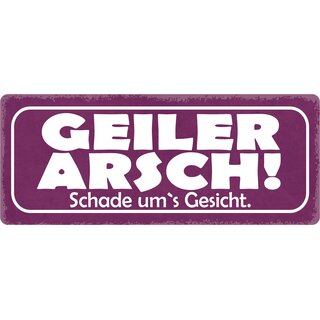 Schild Spruch "Geiler Arsch, Schade ums Gesicht" 27 x 10 cm Blechschild