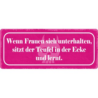 Schild Spruch "Wenn Frauen sich unterhalten" 27 x 10 cm Blechschild
