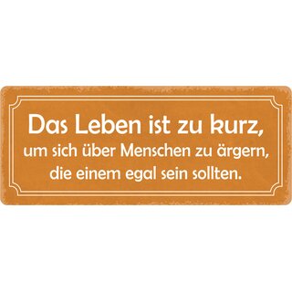 Schild Spruch "Leben ist zu kurz, über Menschen ärgern" 27 x 10 cm Blechschild