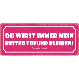 Schild Spruch "Du wirst immer mein bester Freund bleiben" 27 x 10 cm Blechschild
