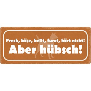 Schild Spruch "Frech, böse, bellt, furzt, hört nicht, aber hübsch" 27 x 10 cm Blechschild