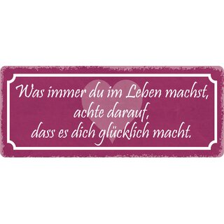 Schild Spruch "Was immer du im Leben machst" 27 x 10 cm Blechschild