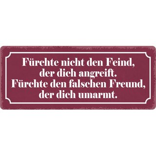 Schild Spruch "Fürchte nicht den Feind, der dich angreift" 27 x 10 cm Blechschild
