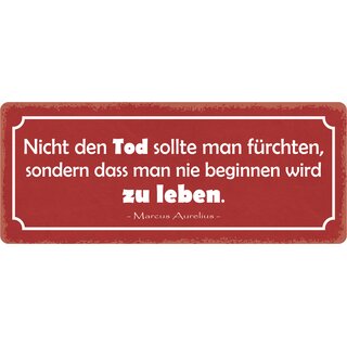 Schild Spruch "Nicht den Tod sollte man fürchten" 27 x 10 cm Blechschild