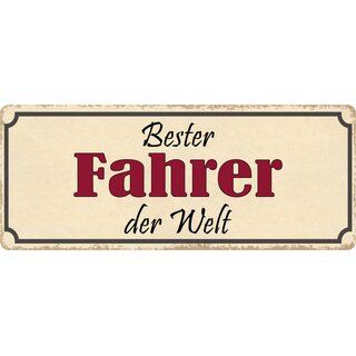 Schild Spruch "Bester Fahrer der Welt" 27 x 10 cm Blechschild