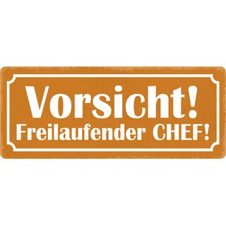 Schild Spruch "Vorsicht freilaufender Chef" 27 x 10 cm Blechschild