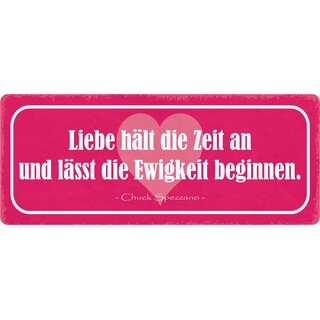 Schild Spruch "Liebe hält die Zeit an" 27 x 10 cm Blechschild, 9,99