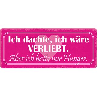 Schild Spruch "Ich dachte, ich wäre verliebt" 27 x 10 cm Blechschild
