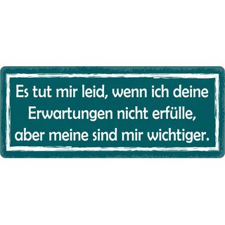 Schild Spruch "Tut mir leid, wenn ich Erwartungen nicht erfülle" 27 x 10 cm Blechschild