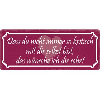 Schild Spruch "Das du nicht immer so kritisch" 27 x 10 cm Blechschild