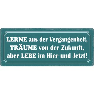 Schild Spruch "Lerne aus der Vergangenheit" 27 x 10 cm Blechschild