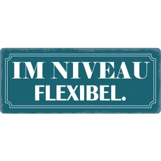 Schild Spruch "Im Niveau flexibel" 27 x 10 cm Blechschild