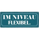 Schild Spruch "Im Niveau flexibel" 27 x 10 cm...