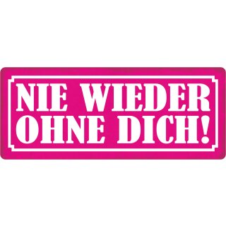 Schild Spruch "Nie wieder ohne Dich" 27 x 10 cm Blechschild