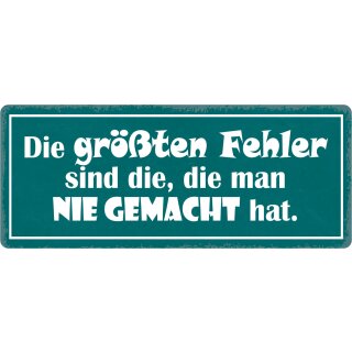 Schild Spruch "Größte Fehler, die man nie gemacht hat" 27 x 10 cm Blechschild