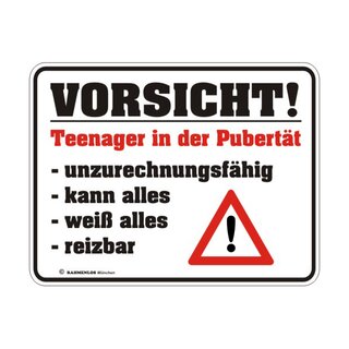 Blechschild mit Motiv/Spruch "Teenager"