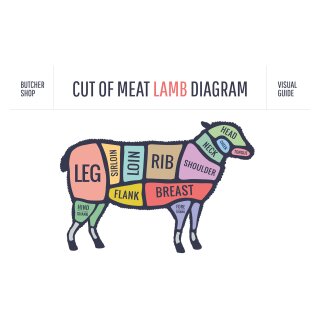 Blechschild "Cut of meat Lamb, farbig" 40 x 30 cm Dekoschild Lamm