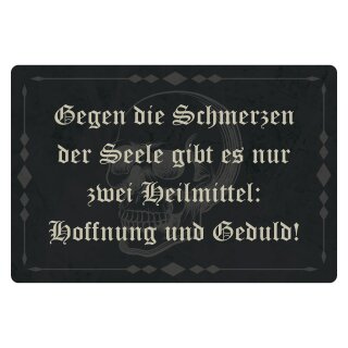 Blechschild "Schmerzen Seele zwei Heilmittel" 40 x 30 cm Dekoschild Weisheiten