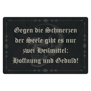 Blechschild "Schmerzen Seele zwei Heilmittel" 40 x 30 cm Dekoschild Weisheiten