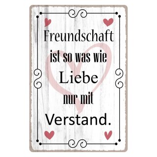 Blechschild "Freundschaft ist so wie Liebe" 30 x 40 cm Dekoschild Freundschaftsspruch