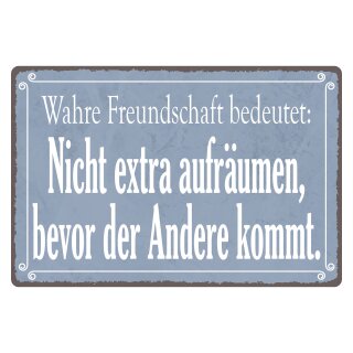 Blechschild "Wahre Freundschaft bedeutet" 40 x 30 cm Dekoschild Freundschaften