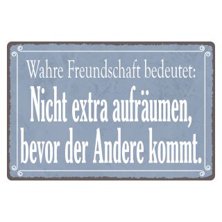 Blechschild "Wahre Freundschaft bedeutet" 40 x 30 cm Dekoschild Freundschaften