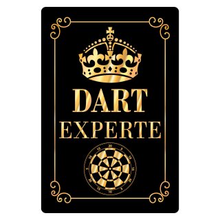 Blechschild "Dart Experte" 30 x 40 cm Dekoschild Dartspezialist