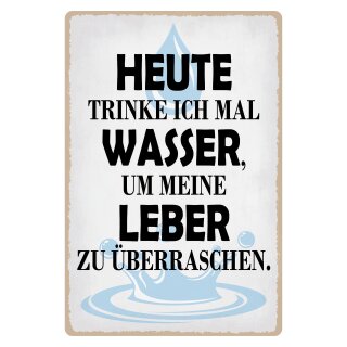 Blechschild "Heute trinke ich Wasser" 30 x 40 cm Dekoschild Trinken lustig