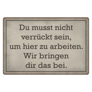 Blechschild "Du musst nicht verrückt sein arbeiten" 40 x 30 cm Dekoschild Arbeitsspruch lustig